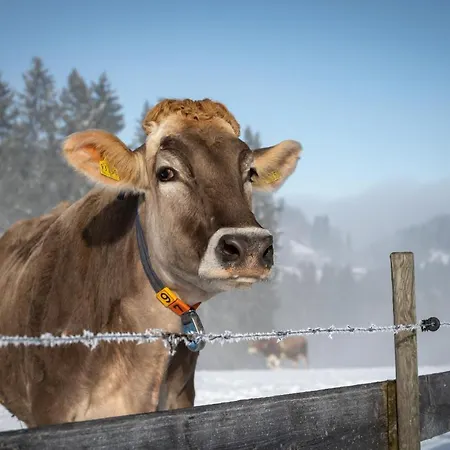 Hartungs Hoteldorf 3* Füssen