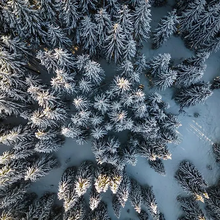 Hotel Hartungs Hoteldorf