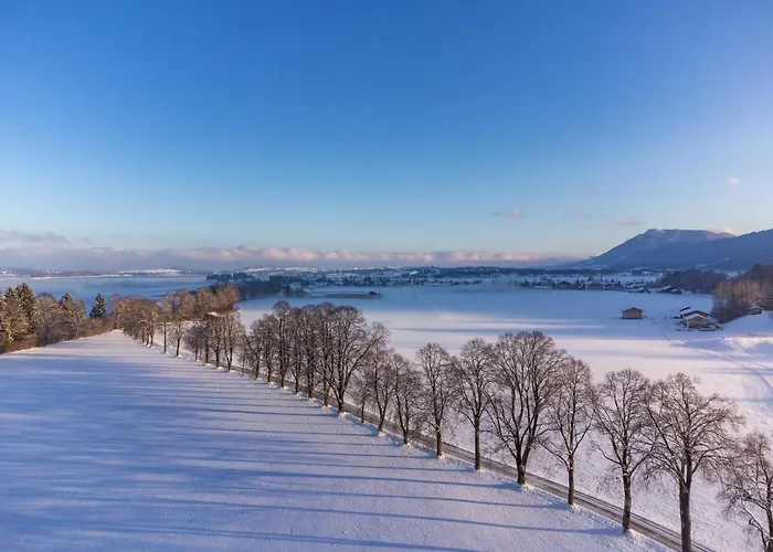 Hartungs Hoteldorf 3* 福森