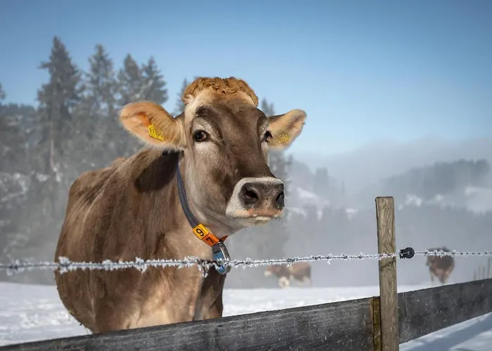 Hartungs Hoteldorf 3* Фюссен