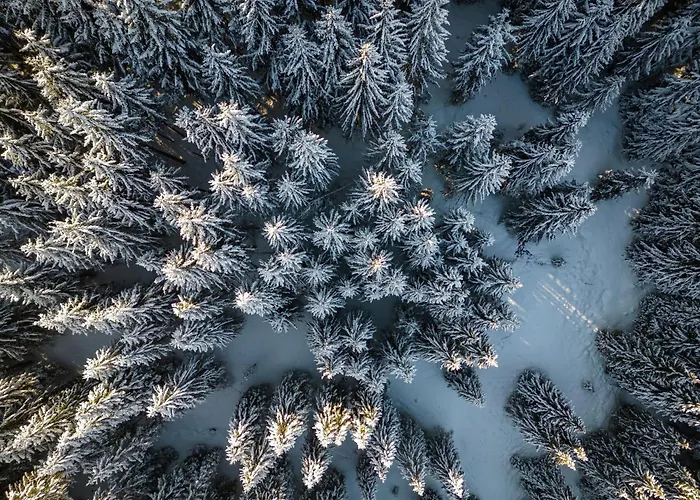 Готель Hartungs Hoteldorf